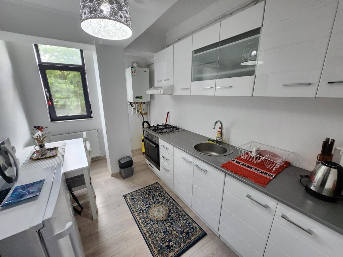 Boutique City Retreats Apartments Iasi Buitenkant foto